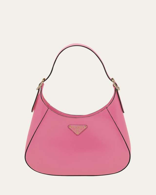 Buckle Box Calf Leather Hobo Bag